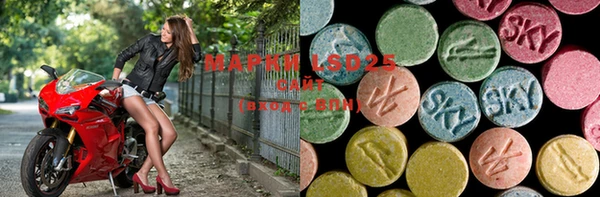 mdpv Богородицк