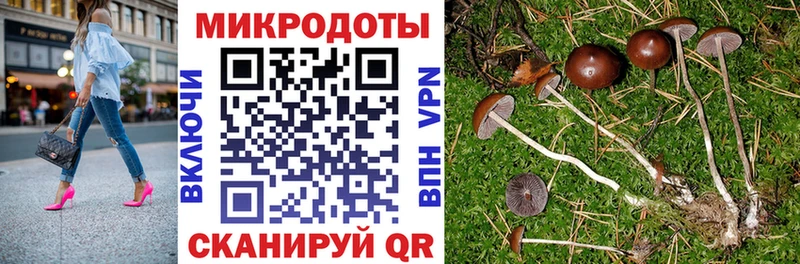Псилоцибиновые грибы мухоморы OMG вход Горячий Ключ