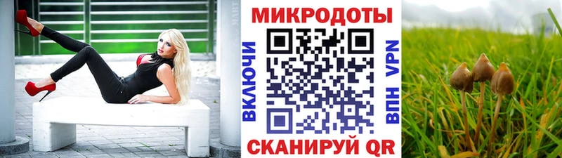 Галлюциногенные грибы мицелий Горячий Ключ